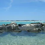 Sea Breeze House- 3 Bd 2 Ba 5 Min Walk To Beach