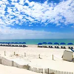Pelican Walk 810