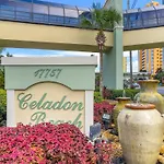 Celadon 0808