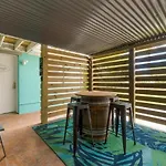 Havana Day Dreaming Laguna Beach Pet Friendly