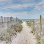Seashells