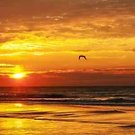 2305 Tidewater Beach Resort