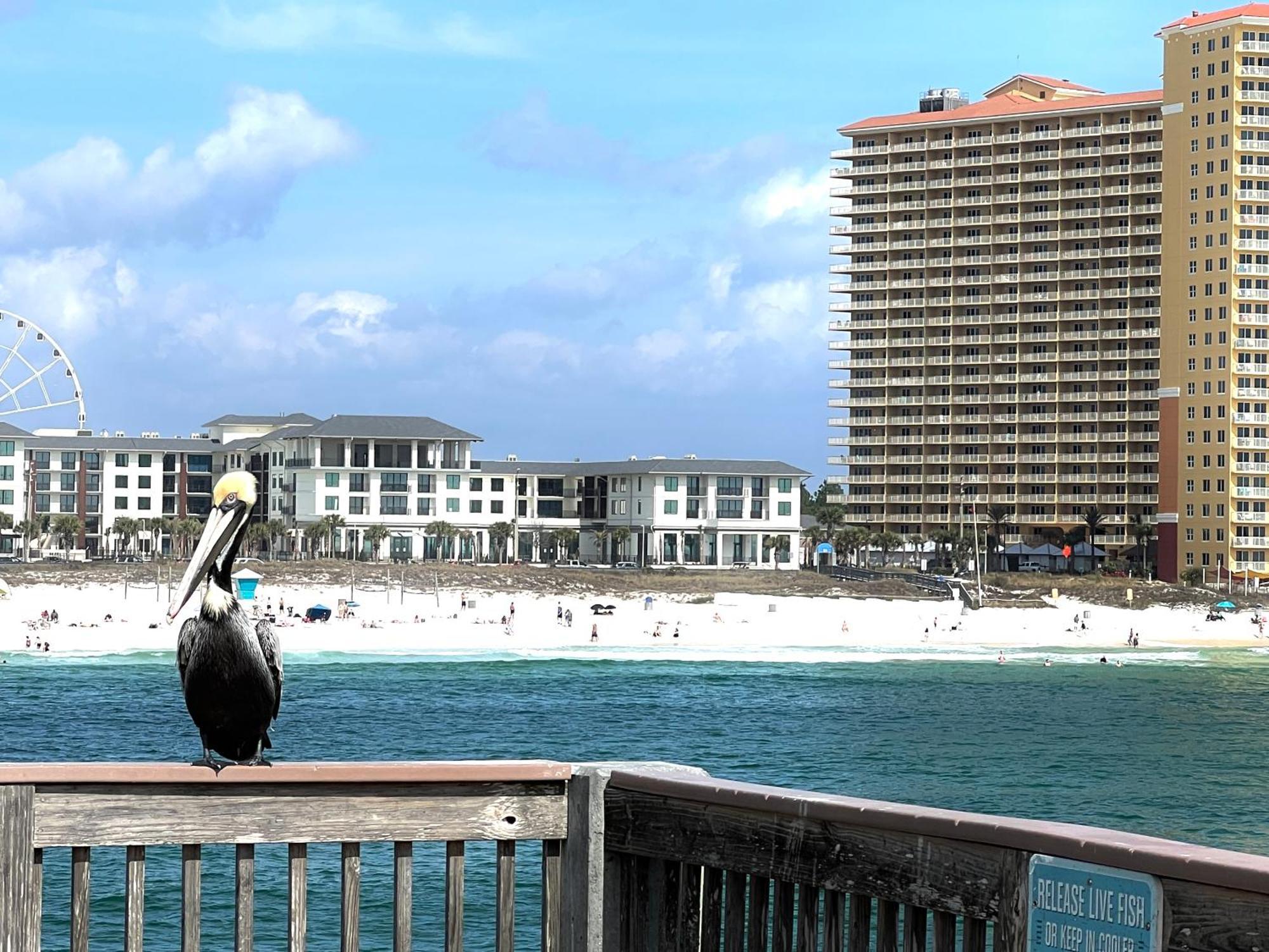 Calypso Mermaid 3-1004 * Panama City Beach