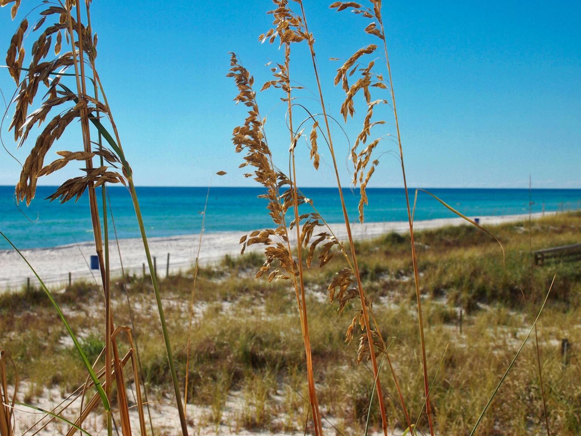 Ocean Reef 1604 Panama City Beach
