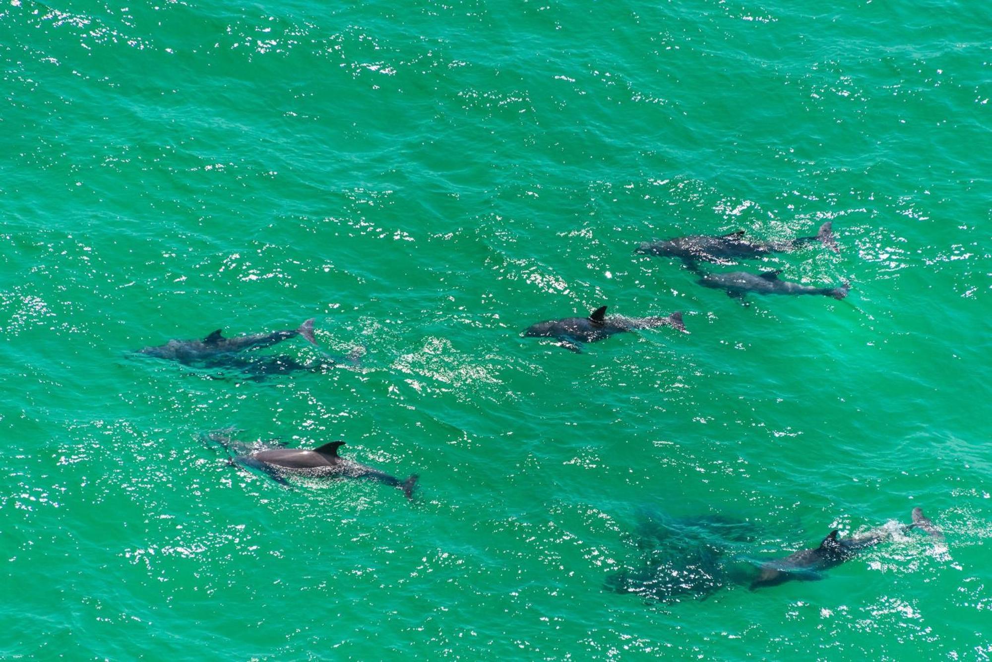 Calypso 2-807 West Panama City Beach