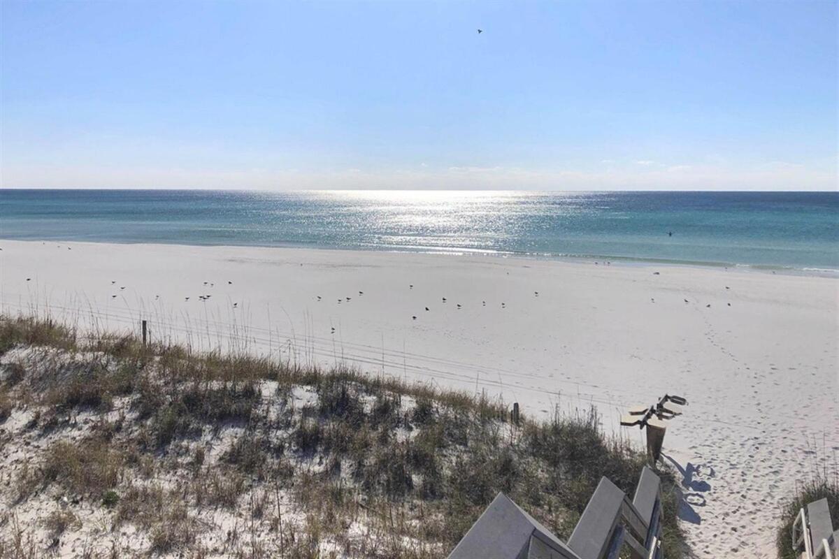 1005 Calypso Direct Ocean Front Master On The Gulf *