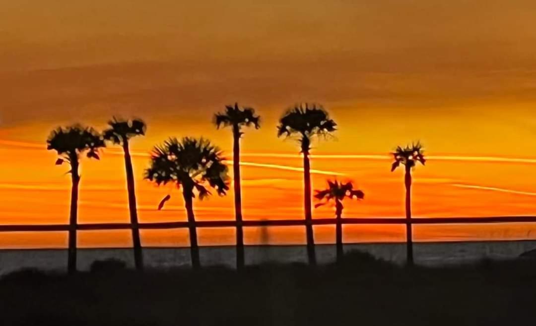 Apartment Shores Of Panama 1011 - 1 Bedroombunks Sleeps 6, Free Fun! *