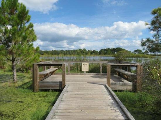 Beachside Sunrise Beautiful 4 Bedroom 2 Bath Spacious And Serene Panama City Beach