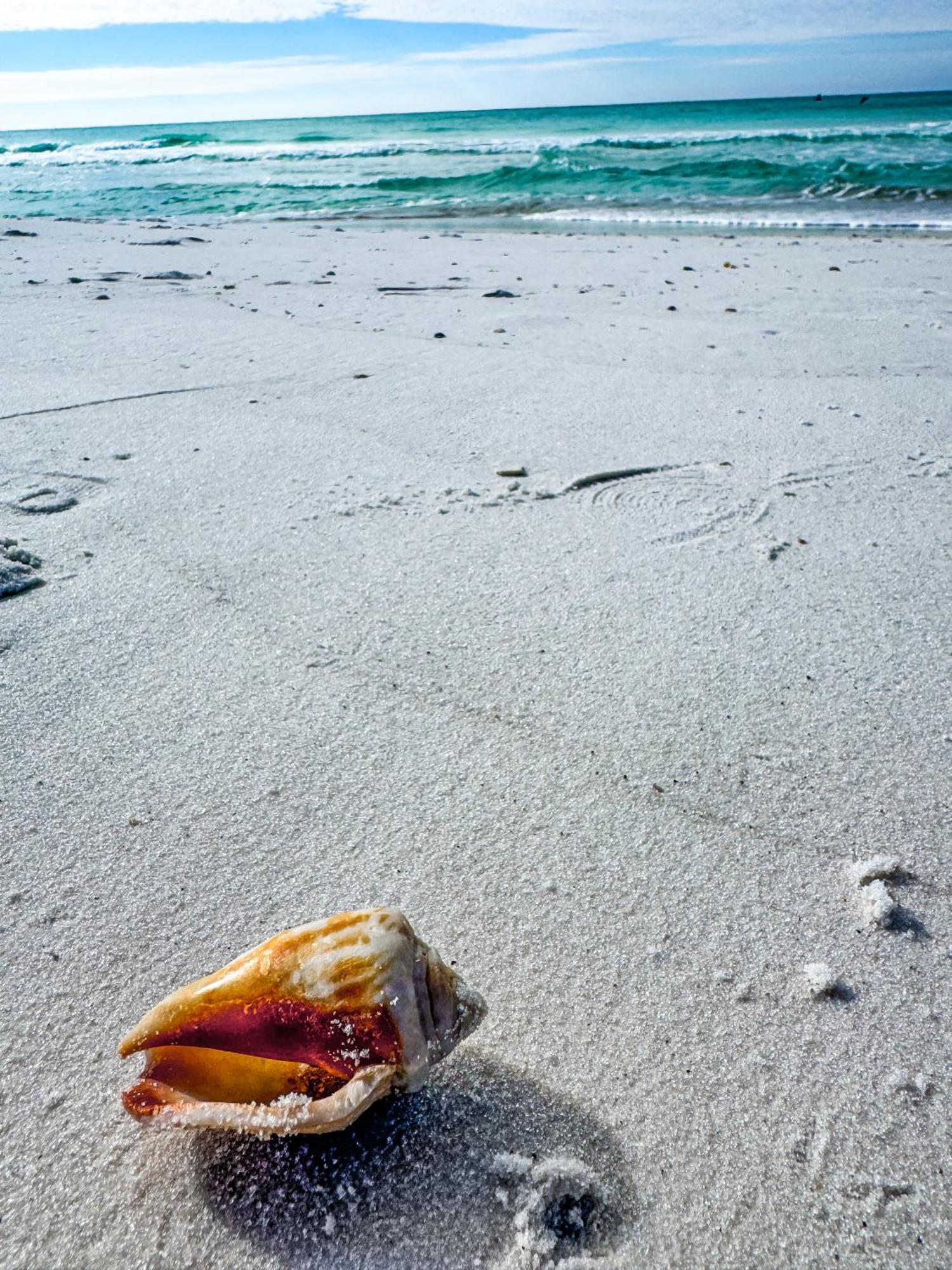 The Lost Flip Flop At Laketown Wharf #2012 By Nautical Holiday home *