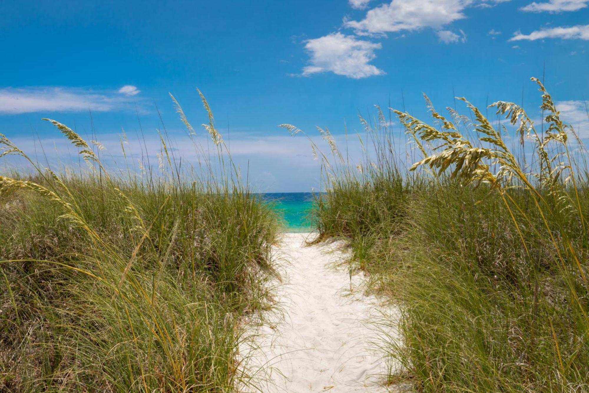 Coastal Hideaway: Cozy Beachfront - Sleeps 4 With Stunning Views! *
