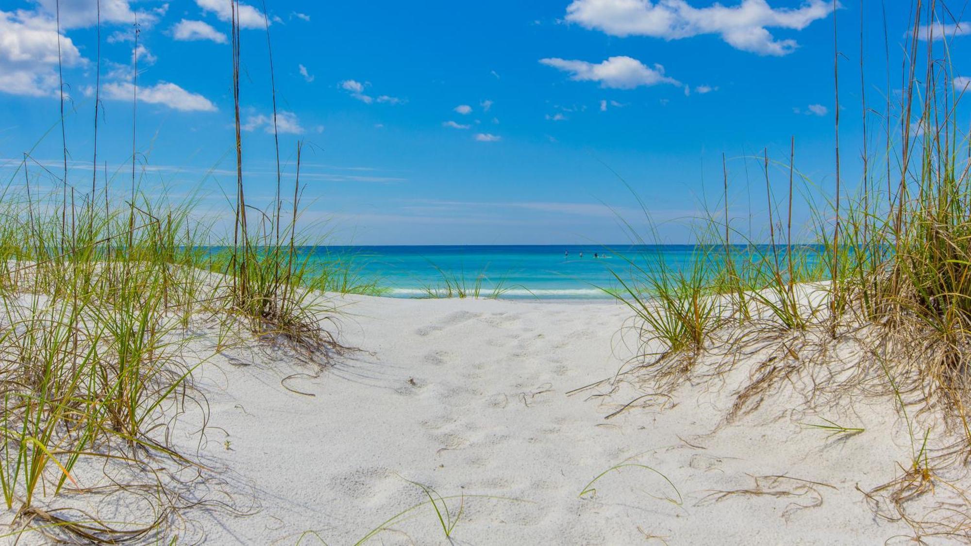 Put Some Vitamin Sea In Your Vacation! Gulf Front Town - Quiet West End Holiday home