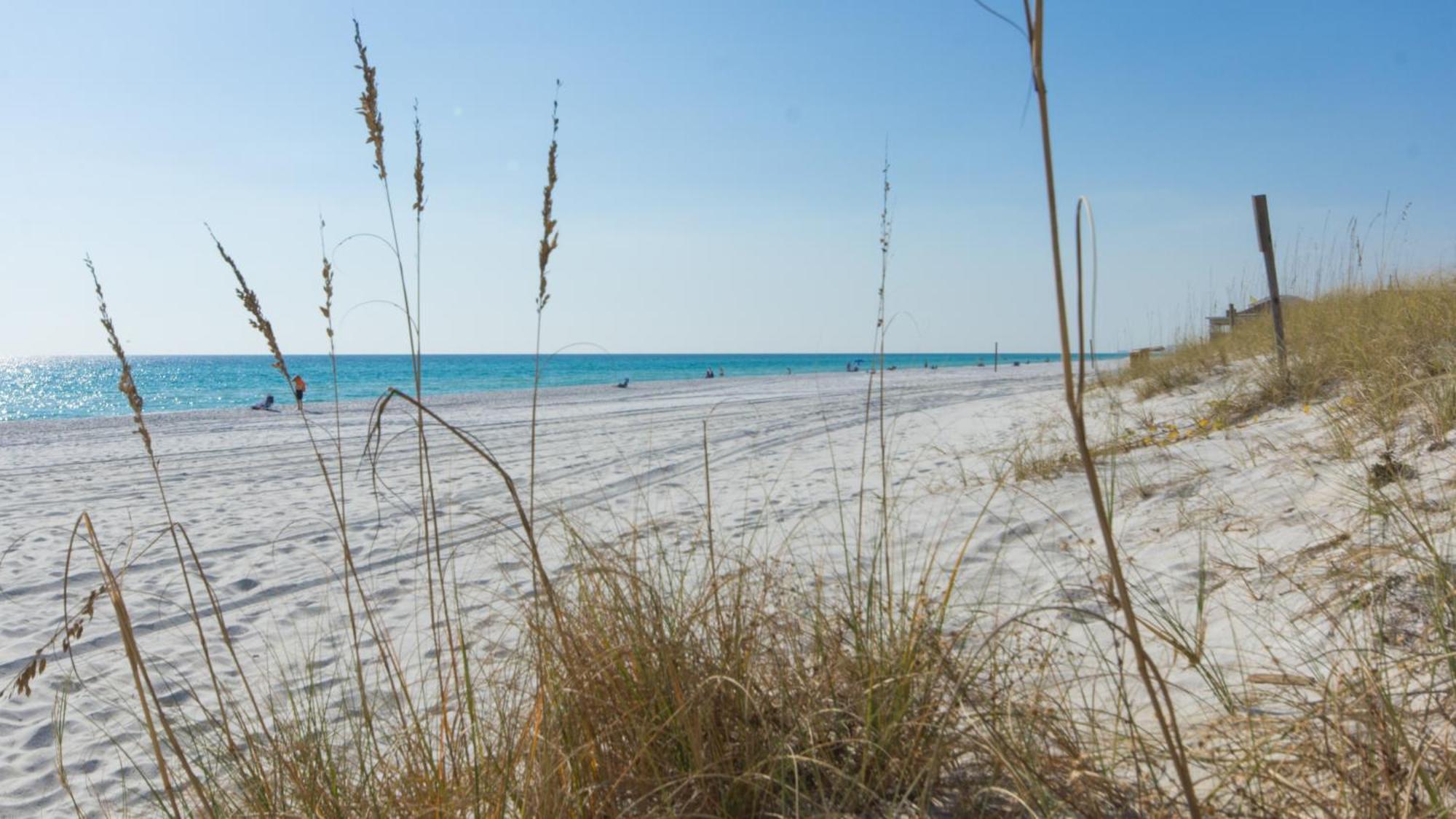 Put Some Vitamin Sea In Your Vacation! Gulf Front Town - Quiet West End Holiday home *