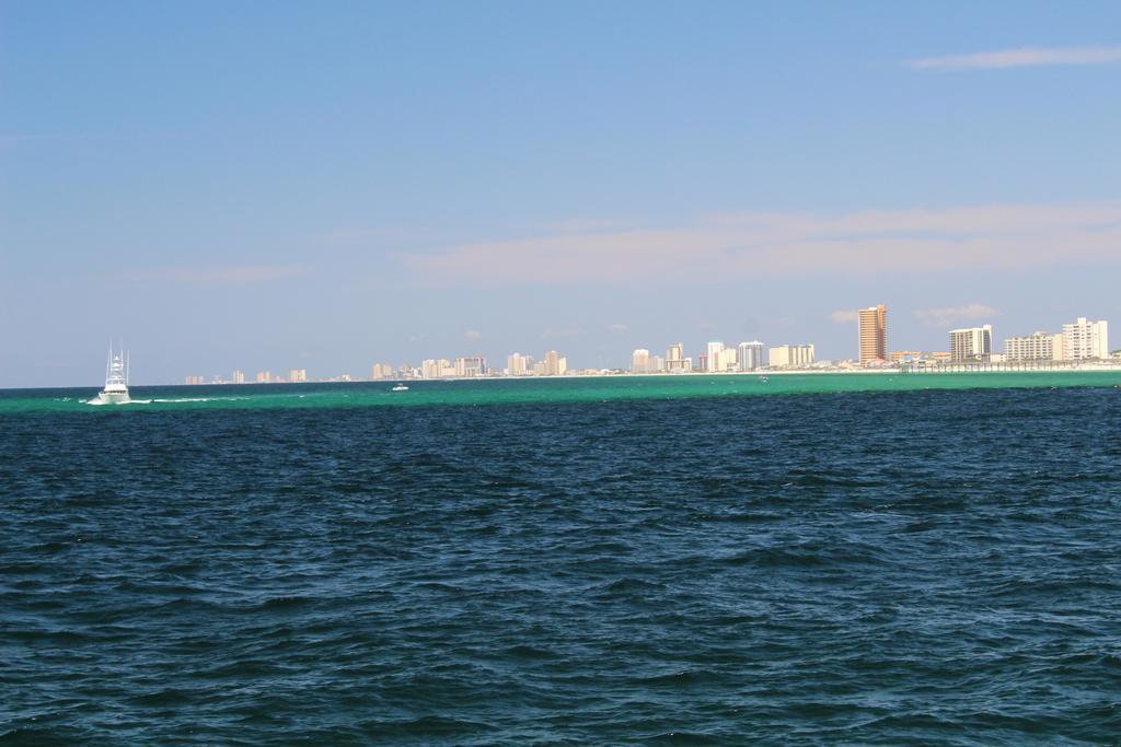 Seashells * Panama City Beach