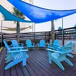 Top Of The Gulf 312 \'The Tip-Sea Turtle\'
