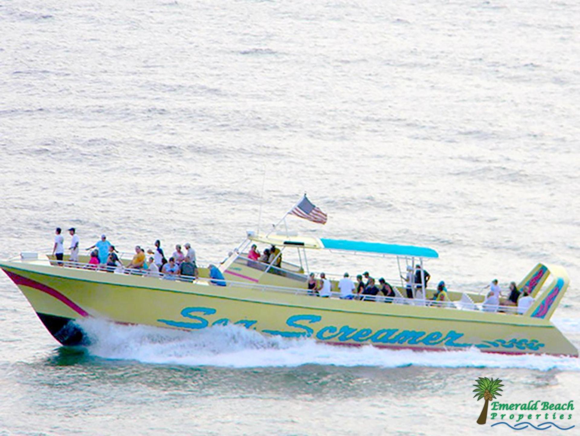 Of The Gulf 312 'the Tip-sea Turtle' Holiday home *